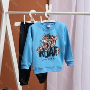 картинка Костюм детский спортивный штаны и кофта для мальчика на весну Тигр