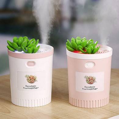 картинка USB мини увлажнитель воздуха Succulents Humidifier 350 мл