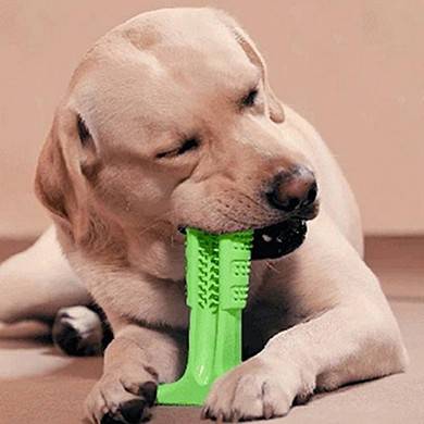 Зубная щетка игрушка для собак