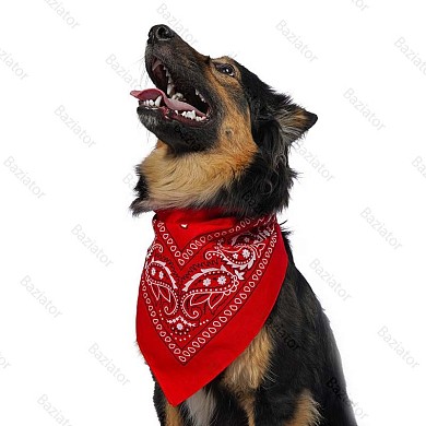 Бандана платок для собак на шею хлопковая