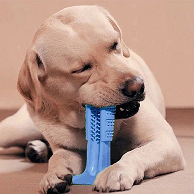 Зубная силиконовая щетка игрушка массажер для чистки зубов крупных собак Pet Toothbrush