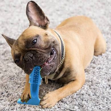 Зубная щетка игрушка для собак