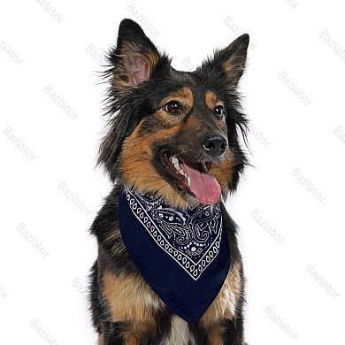 Бандана платок для собак на шею хлопковая