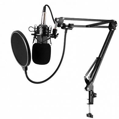 Конденсаторный звукозаписывающий микрофон BM-800 с подставкой